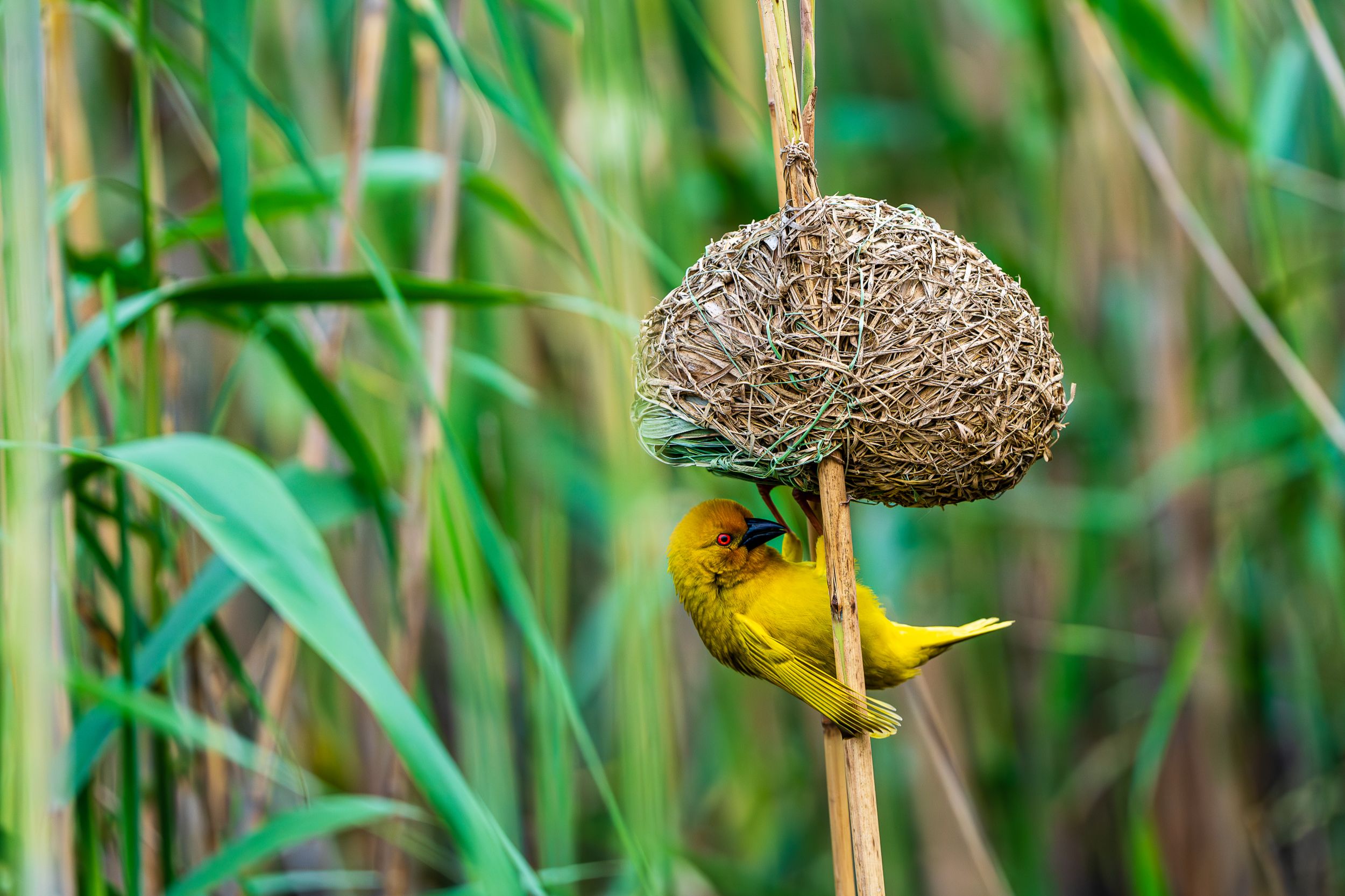 20230924 155947 Fotobuch Südafrika  7